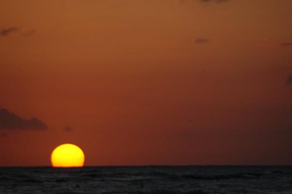 photo46