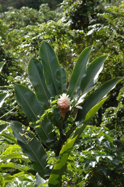 photo01