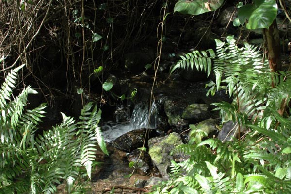 photo04