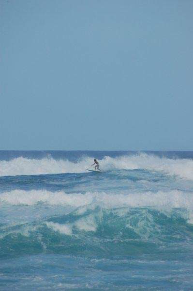 photo11