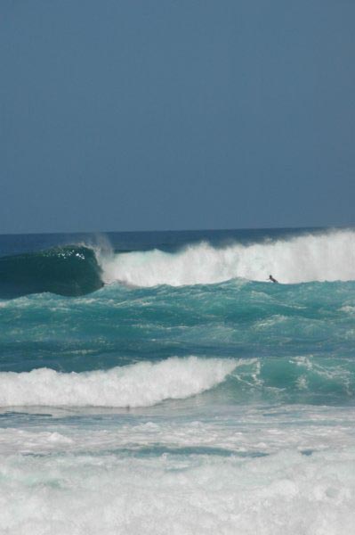 photo14