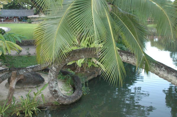 photo33