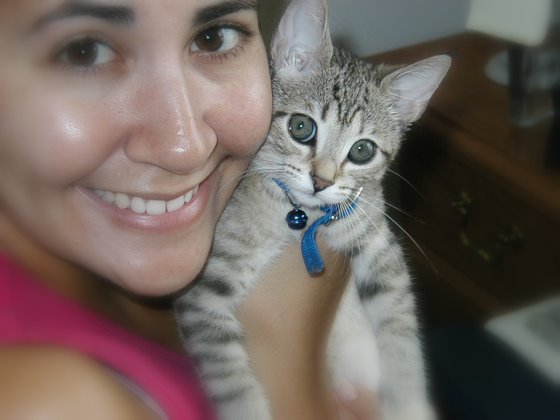 kitty-22