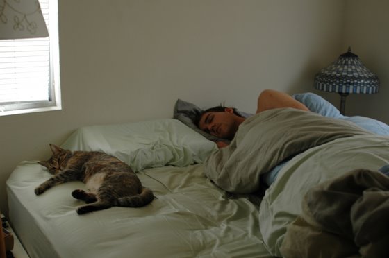 stoopid_cat-35