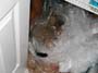 stoopid_cat-08