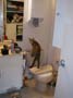 stoopid_cat-20