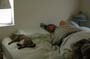 stoopid_cat-35