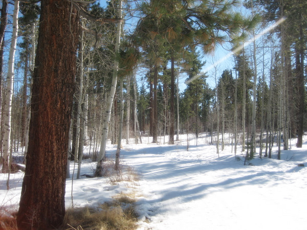 tahoe-mlk-42