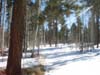 tahoe-mlk-42