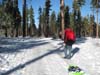 tahoe-mlk-49