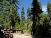 tahoe1008-24