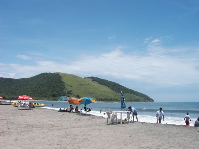 Photograph