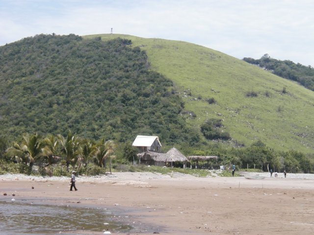 Photograph