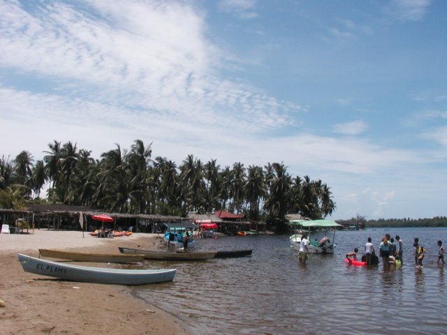 Photograph