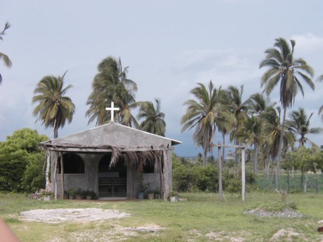 Photograph